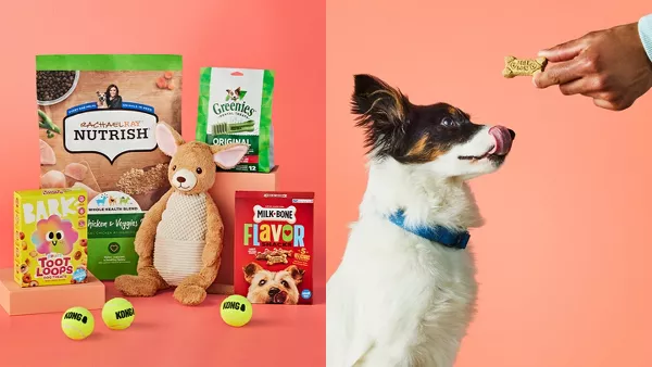 Top Pet Gifts at Target Toys Treats More