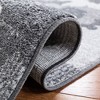 Adirondack ADR114 Non-Shedding Power Loomed Indoor Rugs - Safavieh - 4 of 4