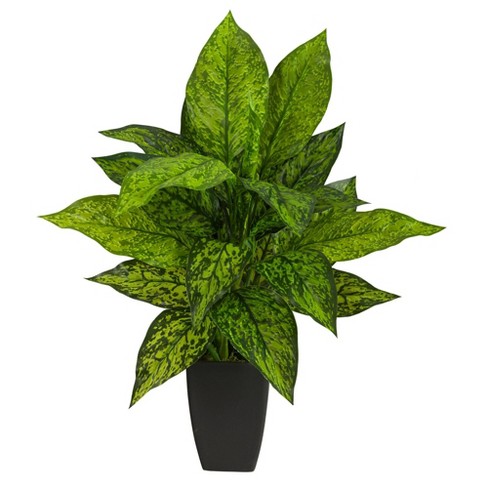 Artificial Dieffenbachia Floor Plant - 40-inch Potted Faux Greenery For  Home Or Office Decoration – Natural Looking Polyester Leaves By Pure Garden  : Target