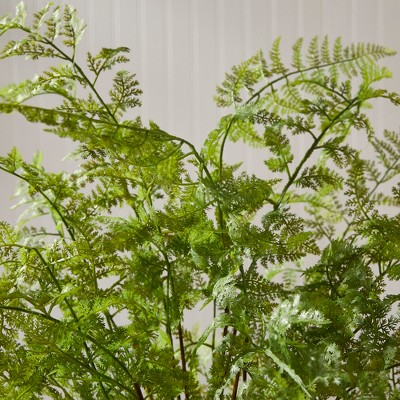 Lush Green Faux Fern Plant in Black Pot, 36"