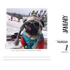 Willow Creek Press Doug the Pug 2025 Box Calendar: Daily Desktop Planner, 5x6", Blue, All Ages, January-December - image 3 of 4