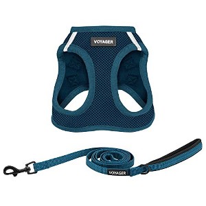 Voyager Step-In Air Dog Harness and 5' Leash Sets - 1 of 4