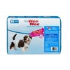 Four Paws Wee Wee Disposable Diapers X-Small - 3 of 3
