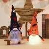 Halloween Faceless Pumpkin Dolls Bearded Gnomes Ornament With Lights Layout Props Home Decoration Accessories - 4 of 4