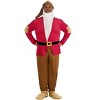 HalloweenCostumes.com Disney Plus Size Men's Grumpy Dwarf Costume. - 2 of 4