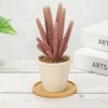 Unique Bargains Bamboo Wood Saucer, Round Plant Tray Bonsai Succulent Pot - 4 of 4