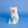 PetShop by Fringe Studio Yappy Barkday Dog Treat Dispenser Toy - image 4 of 4