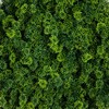 Nearly Natural 20-in UV Resistant Irish Green Meadow Artificial Living Wall Art Panel in Black Aluminum Frame (Indoor/Outdoor) - 3 of 3