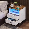 Vlsrka LED Night Stand with Charging Station, 3-Color Dimmable Lights, Modern Bedroom Bedside Table with Drawers, Open Shelf, Metal Legs - 2 of 3