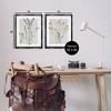Stupell Industries Delicate Wildflower Herb Sprigs 2pc Floating Frame Art Set - 3 of 4