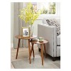 Oslo Java Nesting End Tables Java - Breighton Home - 2 of 4