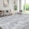 Machine Washable Indoor Rug, Non-Slip Low Pile Carpet for Living Room Hallway, Soft Geometric Design, Stain Resistant & Foldable - 2 of 4