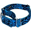Country Brook Petz HossFit Jr Wide Martingale Dog Collar - Attitude Collection - 2 of 4