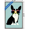 Trends International Andy Westface - Boston Terrier Work Hard Framed Wall Poster Prints - 3 of 4