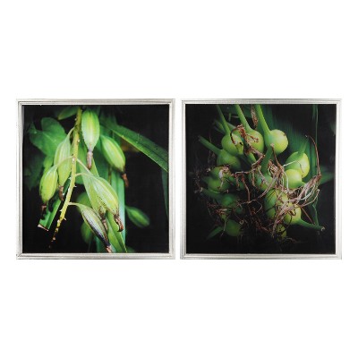 20"x20" Set of 2 Botanical Photography Framed Wall Arts Green/Black - A&B Home: Modern Style, MDF & Glass, Vertical Orientation