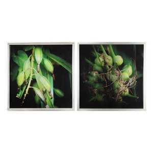 20"x20" Set of 2 Botanical Photography Framed Wall Arts Green/Black - A&B Home: Modern Style, MDF & Glass, Vertical Orientation - 1 of 3