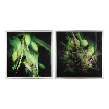 20"x20" Set of 2 Botanical Photography Framed Wall Arts Green/Black - A&B Home