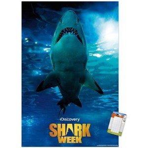 Trends International Shark Week - Smile Unframed Wall Poster Prints - 1 of 4