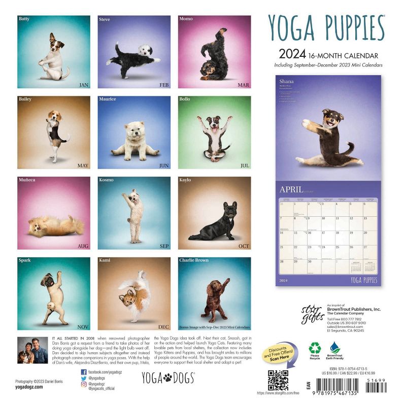 StarGifts 2024 Wall Calendar 12&#34;x12&#34; Yoga Puppies, 2 of 5