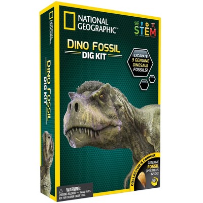fossil dig toy