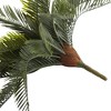 Nearly Natural 13-in Cycas Artificial Plant (Set of 2) - 3 of 3