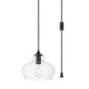 Elegant Lighting Destry 1 Light Black plug-in Pendant With Clear Glass - 3 of 4