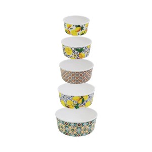 Apex Vanguards 5-Piece Lemon Leak Proof Food Storage - 1 of 3