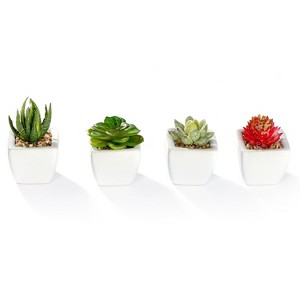 K-Cliffs Artificial Succulents in White Ceramic Pots Mini Faux Plants  Assorted Realistic Fake Cactus Potted Decor for Home Office Desk Shelf Set  of 4 : Target