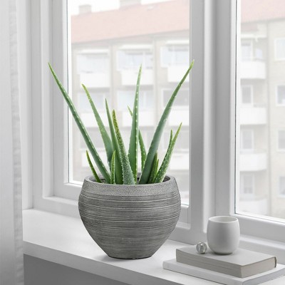 Rococo Radiance Weather-Resistant Gray MgO 12" Planter
