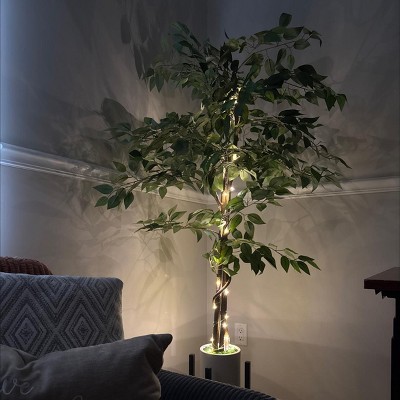 Guest review image 1 of 1, zoom in