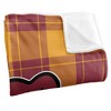 Ursinus College Campus Plaid Spirit Silky Touch Super Soft Throw Blanket 50x60 - 3 of 4