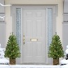 Puleo Set of 2 Artificial Battery-Operated Pre-Lit Potted Adorned Trees - 2 of 4