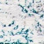 cream/turquoise