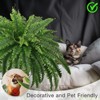 Aoibox Fake Ferns, Realistic Large Artificial Bush Plants, 2 Artificial Boston Ferns with 59 Fronds for Outdoors Planter Indoor Home Garden Decor - 3 of 4
