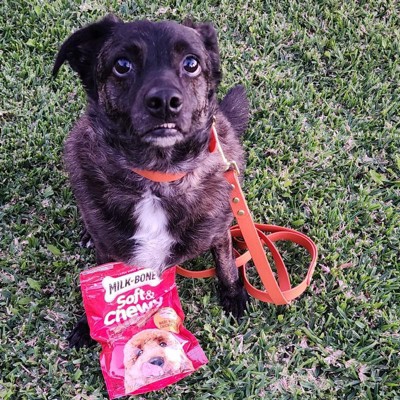 Guest review image 2 of 2, zoom in