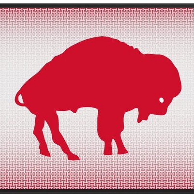 buffalo bills