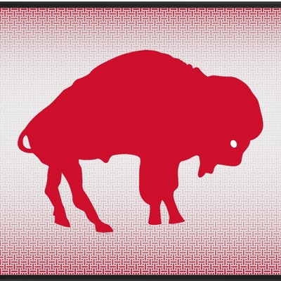 buffalo bills