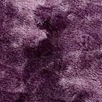 wolf aubergine