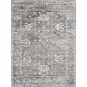 Hauteloom Tripp Distressed Gray Rug - 1 of 4