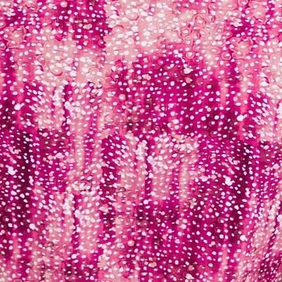 raspberry burst