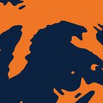 chicago bears