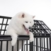 Ridstar 44.88 in. H Black Heavy Dog Metal Crate with 4 Lockable Wheels For Large Dogs - 2 of 4