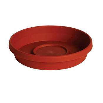 Bloem TerraTray 1.7 in. H X 10 in. D Resin Plant Saucer Terracotta Clay