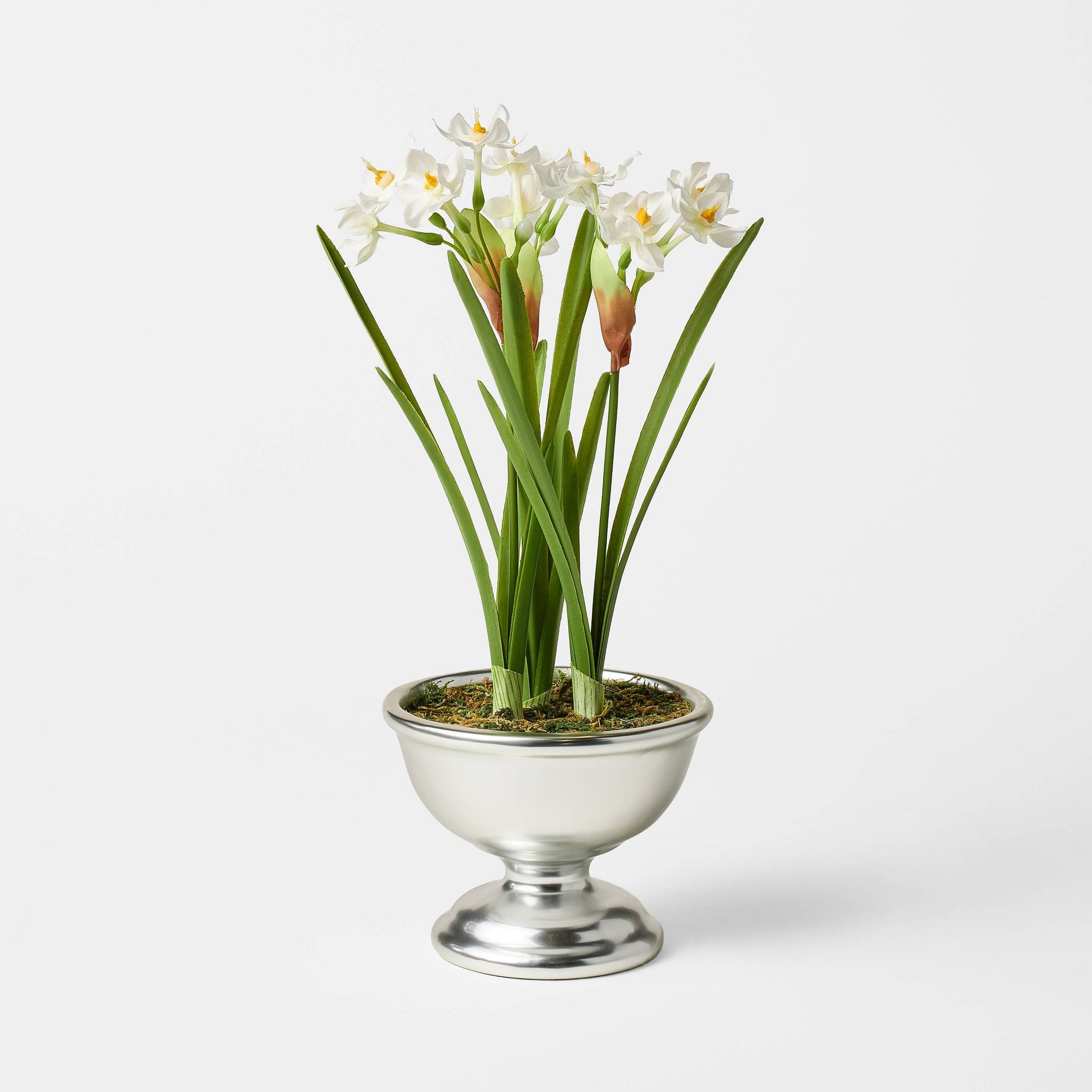 Paperwhite Christmas Arrangement - Threshold™ designed with Studio McGee