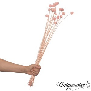 Uniquewise Preserved Real Floral Stems Chic Vase Fillers & Accents for Bouquets Centerpieces - 1 of 4
