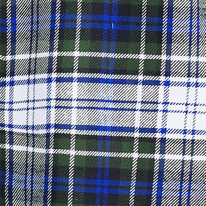 blue/evergreen forest plaid