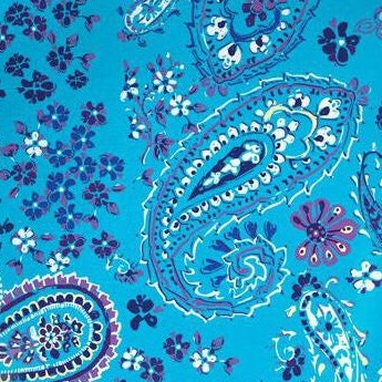 pretty turquoise paisley