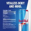 Red Bull Sugar Free Energy Drink - 12 fl oz Can - 3 of 4