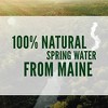 Poland Spring Half Pint Natural Spring Water, 8 Fl Oz 16 Pack - 2 of 4