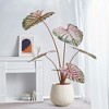 3.6ft Artificial Caladium Plants for Indoor,Taro Plants with Planter Potted Fake Flower Desktop Ornaments for Home Greening Porch Light Pink Basin - 4 of 4